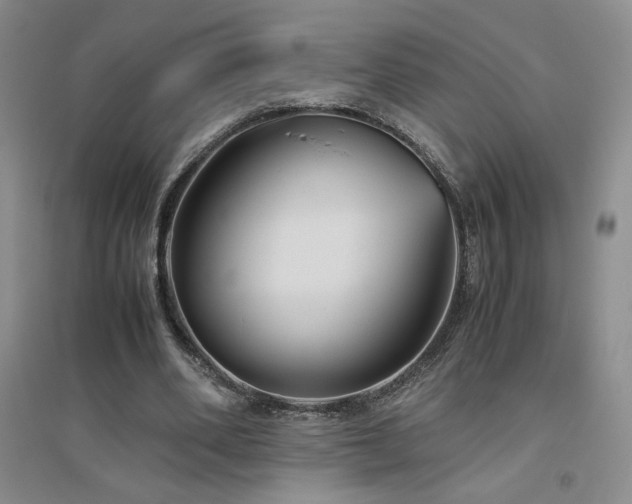 X0000094800486200711161501