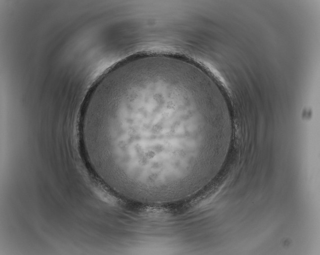 X0000094800487200711161501