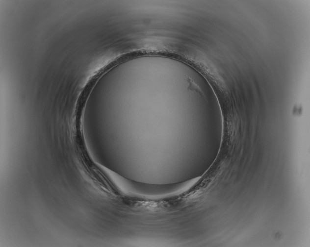X0000094800488200711161501