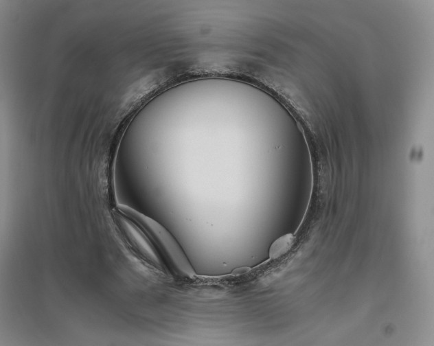 X0000094800489200711161501