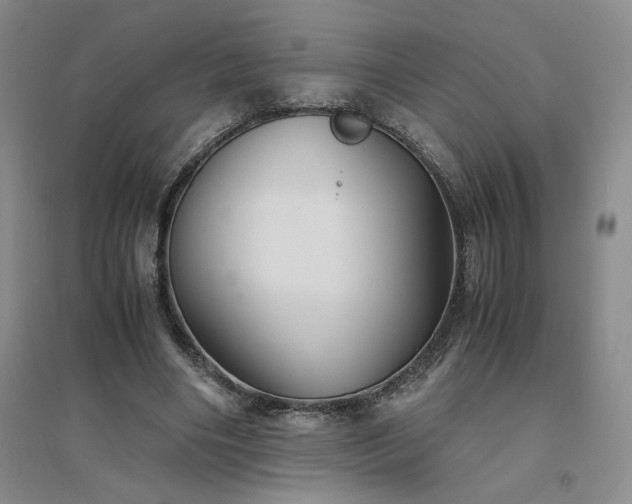 X0000094800490200711161501