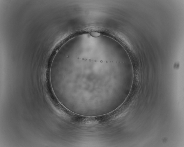 X0000094800491200711161501