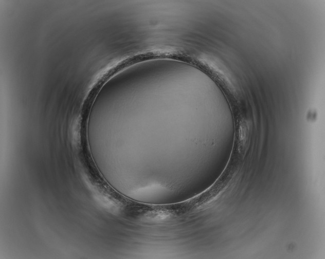 X0000094800492200711161501
