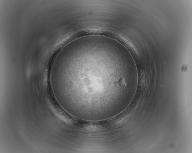 X0000094800494200711161501