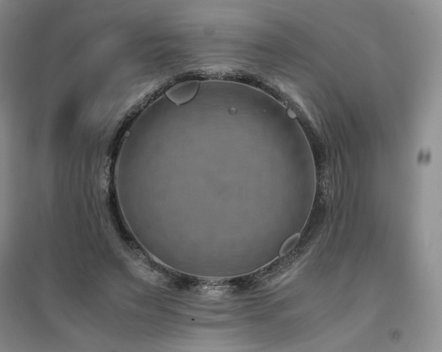 X0000094800495200711161501