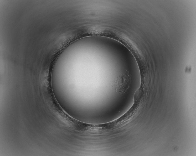 X0000094800497200711161501