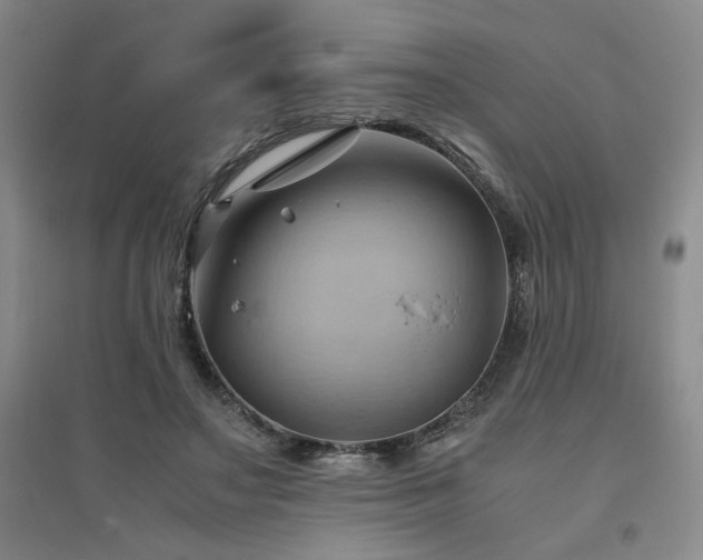 X0000094800499200711161501