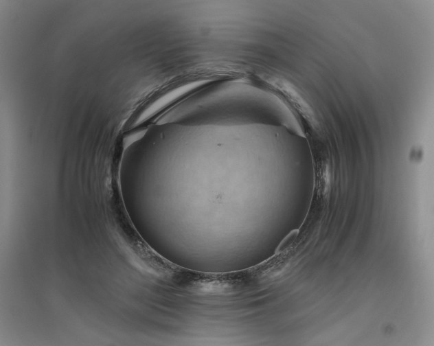 X0000094800500200711161501