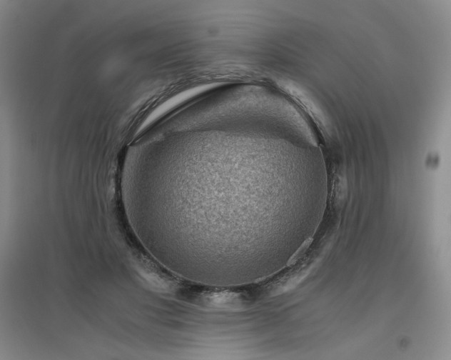 X0000094800501200711161501