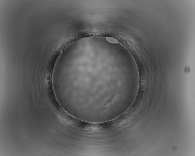 X0000094800503200711161501