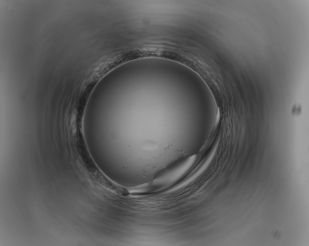 X0000094800504200711161501
