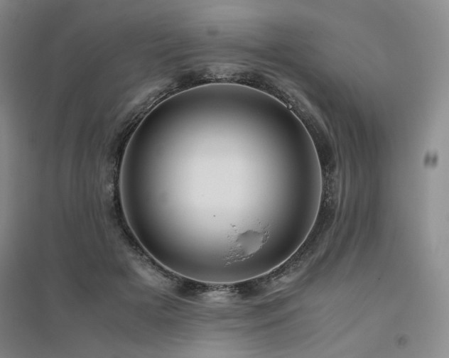 X0000094800505200711161501