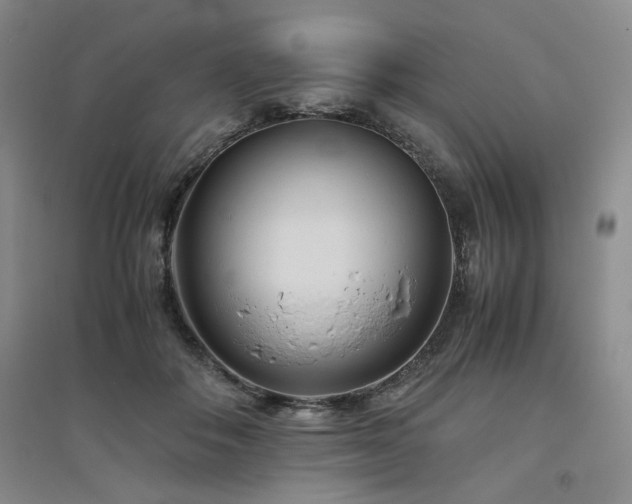 X0000094800506200711161501