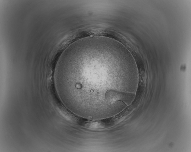 X0000094800507200711161501