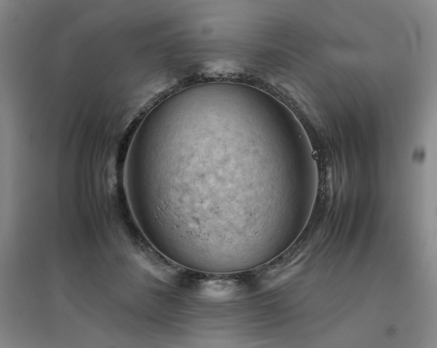 X0000094800508200711161501