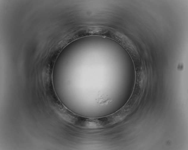 X0000094800510200711161501