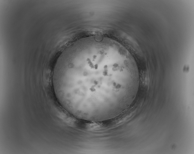 X0000094800511200711161501