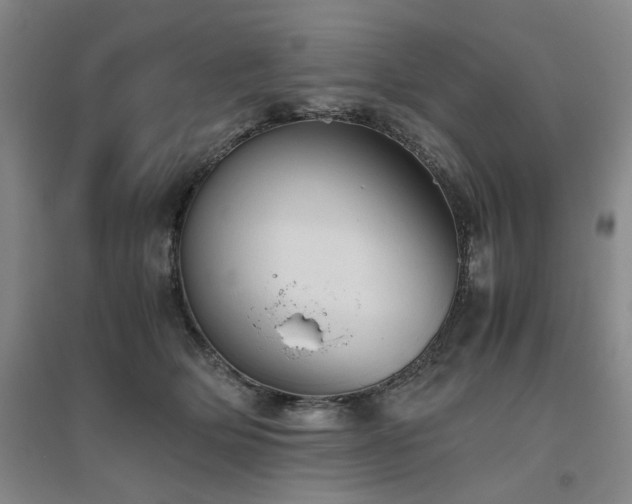 X0000094800514200711161501