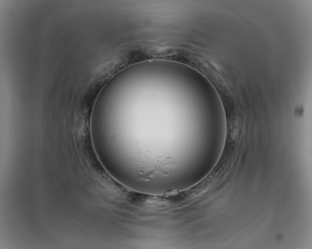 X0000094800515200711161501
