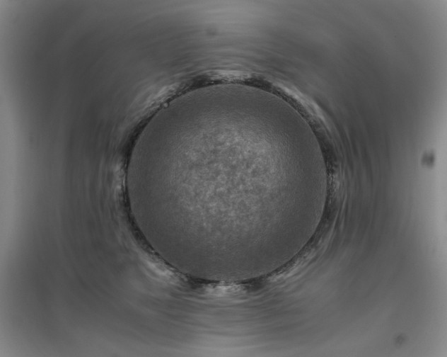 X0000094800517200711161501