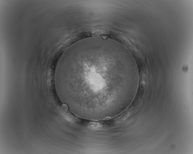 X0000094800519200711161501