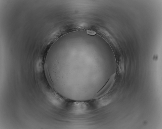 X0000094800520200711161501