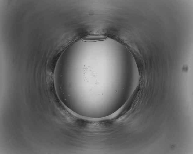 X0000094800521200711161501