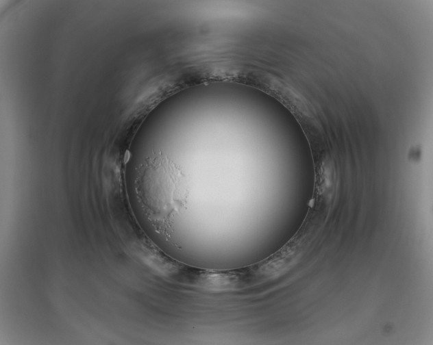 X0000094800522200711161501