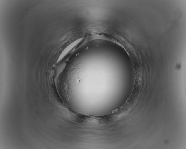 X0000094800523200711161501