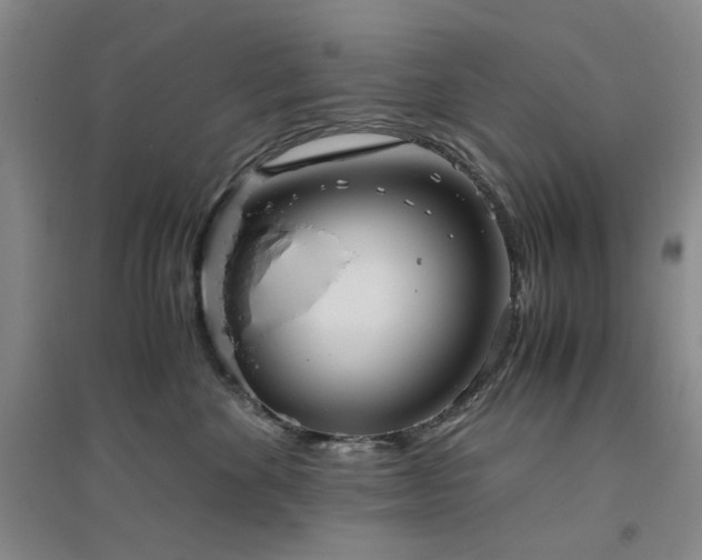 X0000094800524200711161501