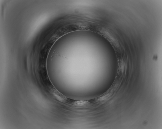 X0000094800526200711161501