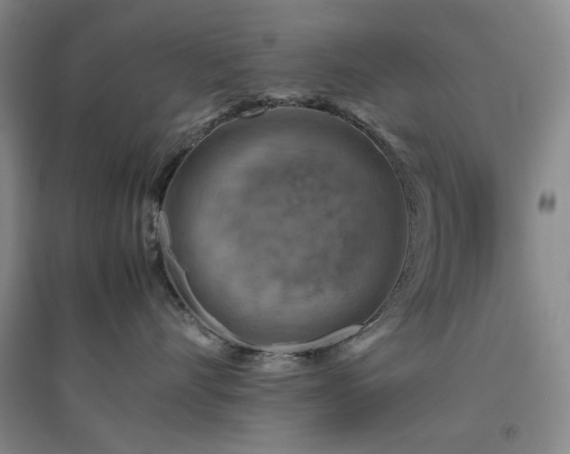 X0000094800528200711161501