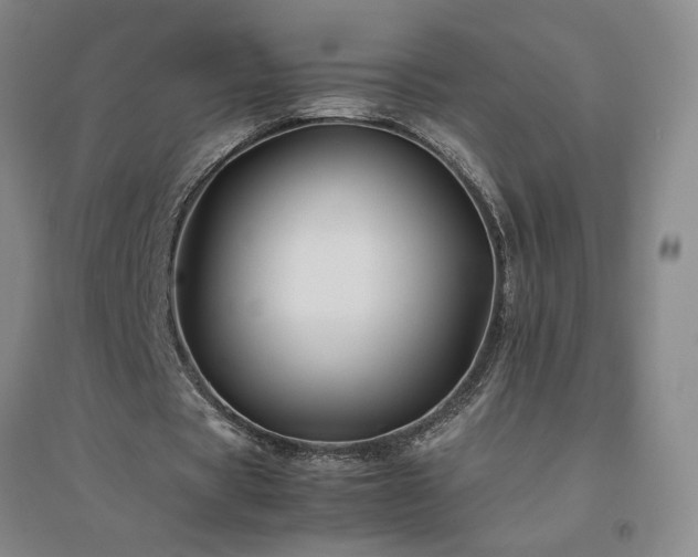 X0000094800529200711161500