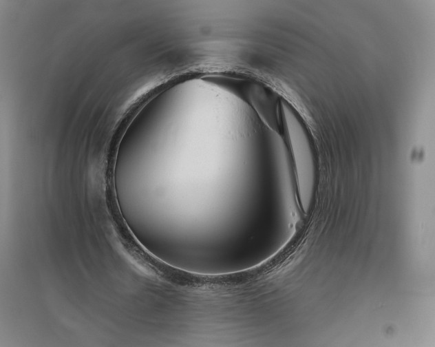 X0000094800530200711161500