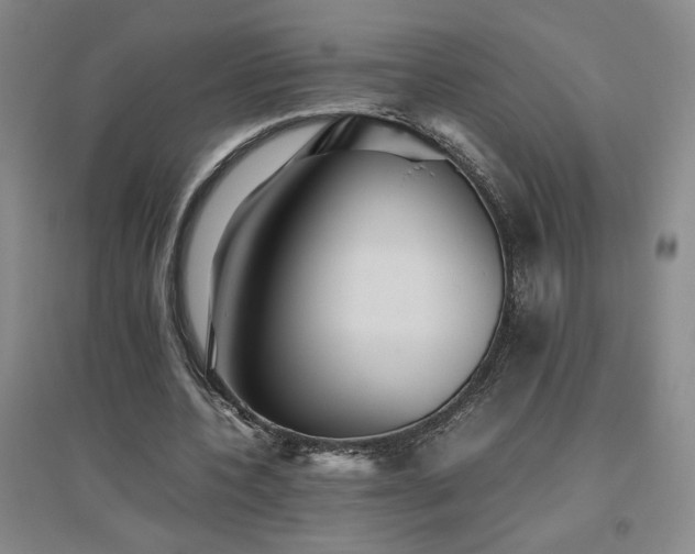 X0000094800532200711161500
