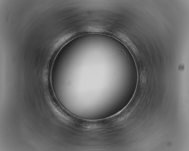 X0000094800533200711161500