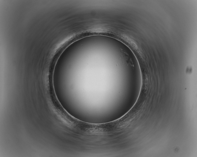 X0000094800535200711161500