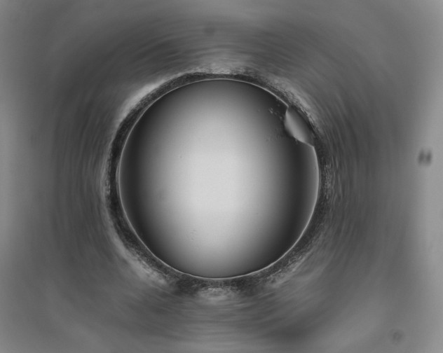 X0000094800536200711161500