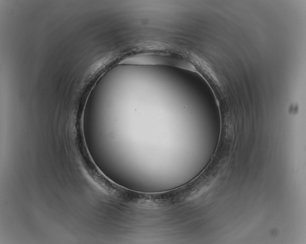 X0000094800538200711161500