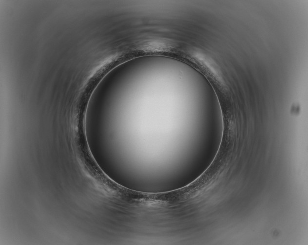 X0000094800539200711161500