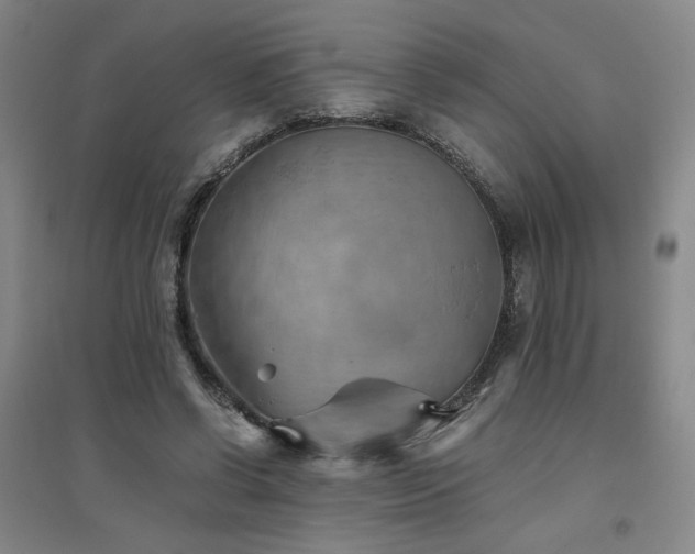 X0000094800542200711161500