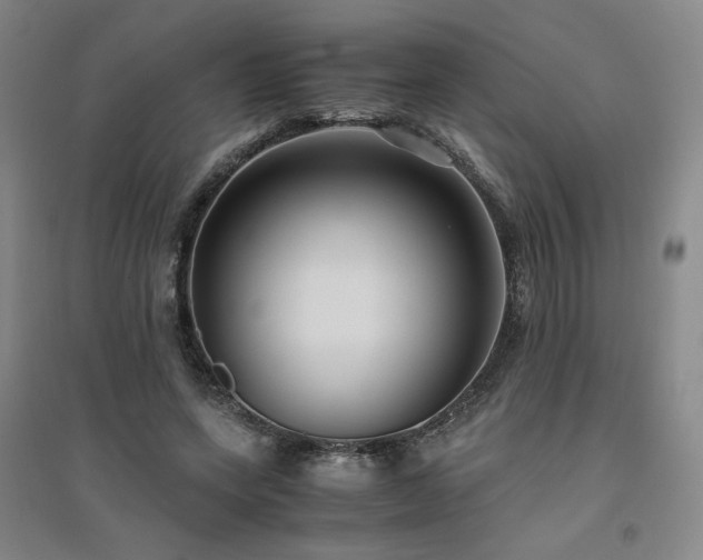 X0000094800543200711161500