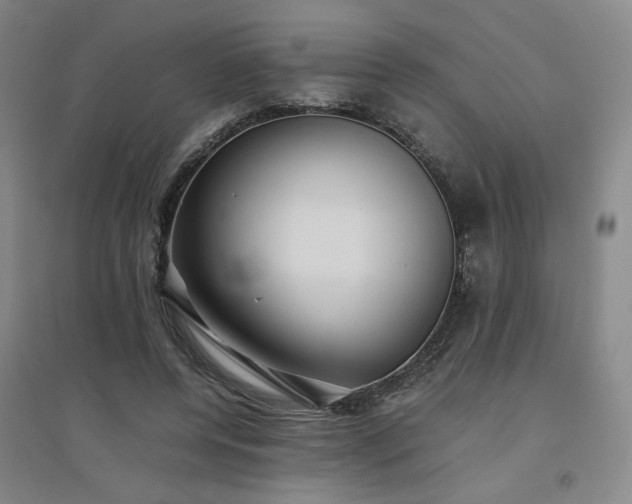 X0000094800544200711161500
