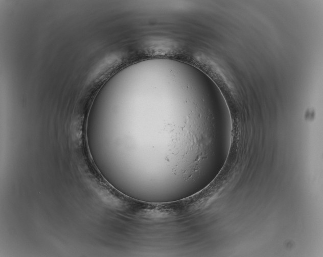 X0000094800545200711161500