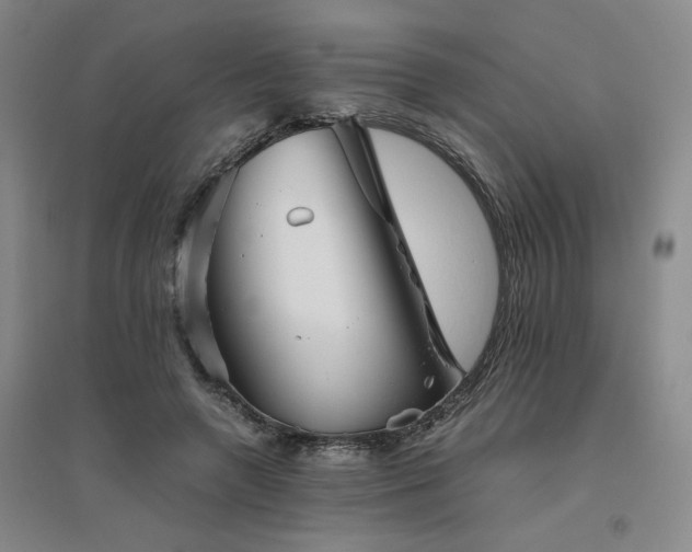 X0000094800546200711161500