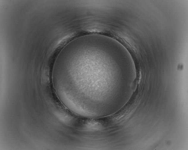 X0000094800547200711161500
