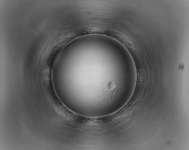 X0000094800550200711161500