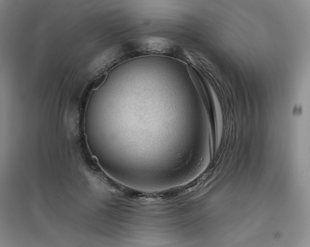 X0000094800552200711161500