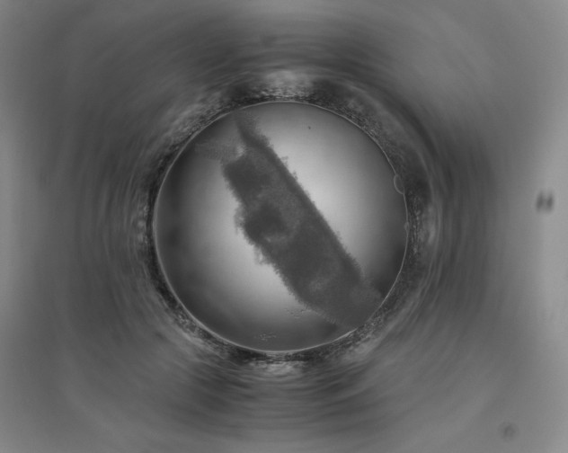 X0000094800553200711161500