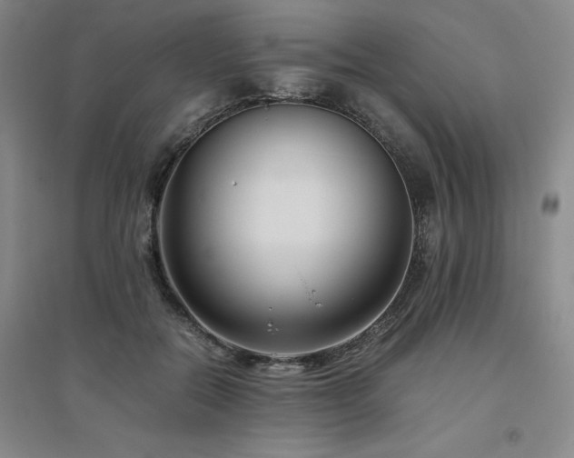 X0000094800554200711161500